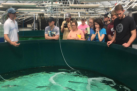 Students at hatchery 