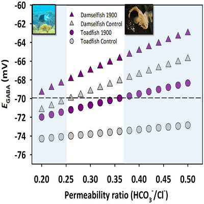 Graph from a paper authored by Dr. Rachael Heuer