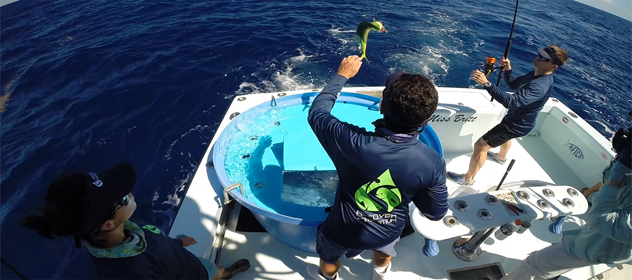 RECOVER members fishing for broomstick mahi