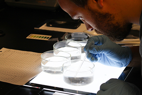 UNT visiting scientist Jason Magnuson conducting lab work